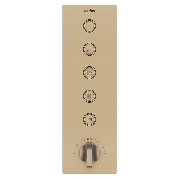 5-function Temperature Concealed-Brushed Gold