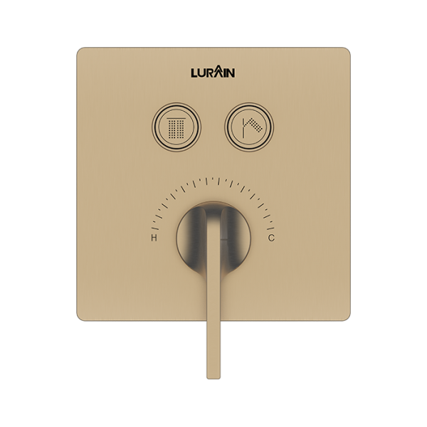 2-function Concealed Control Valve-Brushed Gold
