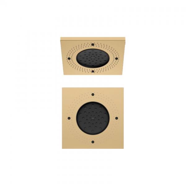 18" Two function shower  Brushed gold