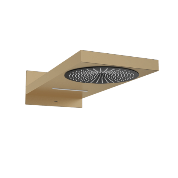 24" Two function shower  Brushed gold