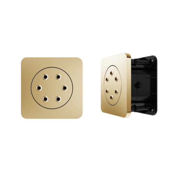 5" The side spray showers  Brushed gold / ABS