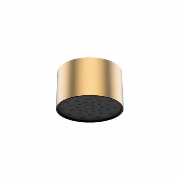 12“ One function shower  Brushed gold